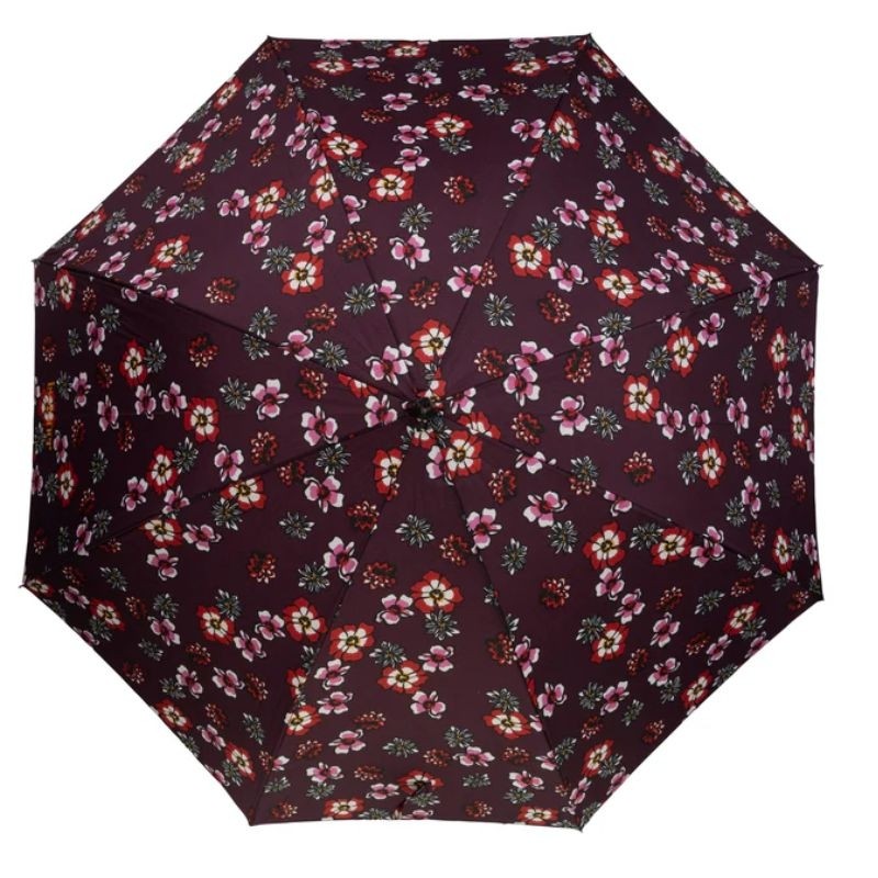 9457 - paraguas cane isotone