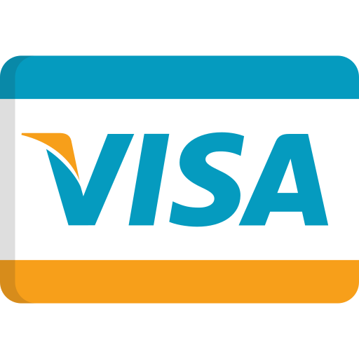 carte de paiement visa
